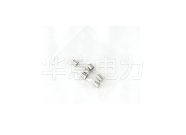 GM 係列可調高壓數字兆歐表保險管